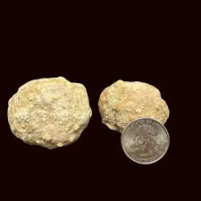 Unopened Geodes $5 Open Your Own Geodes – Ron Coleman Mining