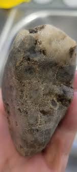 Did I create realistic underwater swamp rocks?