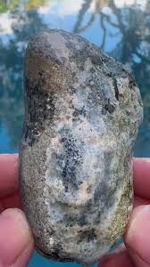 Discover the Mesmerizing World Inside a Coral Geode | TikTok