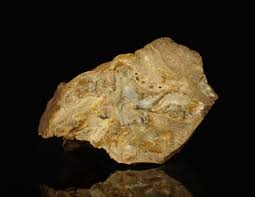 Petrified Wood With Fluorescent Amber 7,0 X 4,5 X 3,5 Cm ...