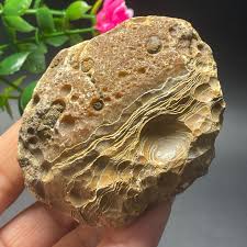 166g Bonsai Suiseki-Natural Gobi Agate Eyes Stone-Rare ...