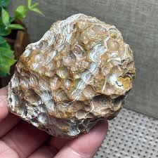 152g Beautiful ! Natural GoBi agate eye Agate Crystal Stone ...