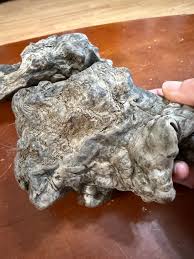 Unique Pieces of Ocean Rendered Sea Serpent Dragon Wood Art ...