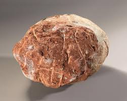 Sold at Auction: Fossilized dinosaur egg