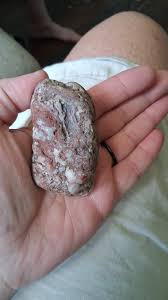 Need help identifying, I have no idea if this is something ...