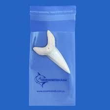 Large Mako Shark Tooth By Oceanicshark | Worldwide Shipping