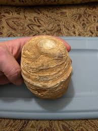 Found this rock about 15 years ago near eldorado springs Missouri. My family and I would find fishing spots and old wooden bridges on the sac river. (I think these were the