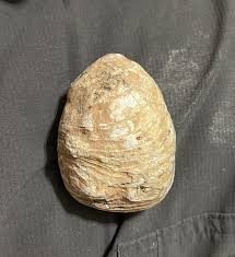 Mystery rock : r/RockTumbling