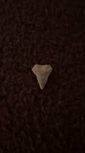 Could anyone tell me what either of these things are? | Facebook