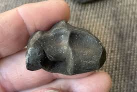 Some fossils for identification - Fossil ID - The Fossil Forum