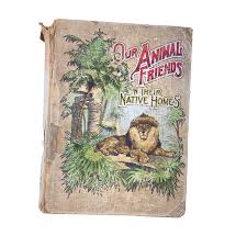 Our Animal Friends In Their Native Homes Book 1905 | eBay