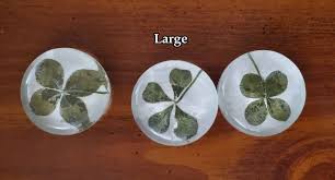 Four Leaf Clover Magnets (choose 4) - Etsy