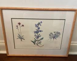 Vintage Botanical Watercolor Signed and Number Print From 2000 by Lara Call Gastinger Famed Virginia Botanical Artist and Illustrator - Etsy