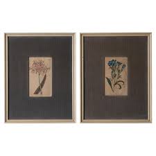Curtis Botanical Magazine Floral Prints c.1810 For Sale at 1stDibs