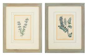 Samuel Holden - Botanical Hand-Colored Engravings, Pair For Sale at 1stDibs
