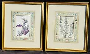 Pair Jacques Le Moyne Framed Prints 16thC Botanical ...