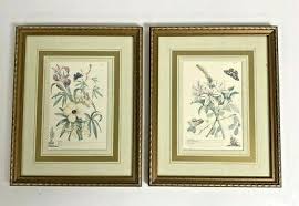 Ketmia, Iris, Alsine & Sherardia, Lilio, Arachidna Framed ...