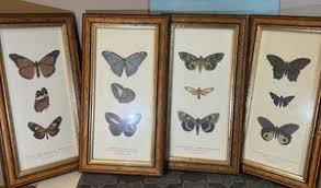 Vintage Butterfly Art | eBay