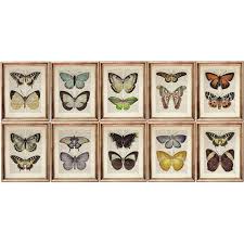 Set of 10 Prints, Butterfly Art Print Set, Vintage Dictionary Book Page Poster, Colorful Insect Wall Decor, Nature Home Wall Art - Etsy