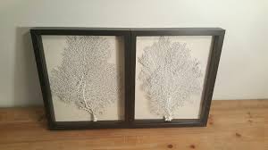 Set of 2 Framed Sea Fans, White Sea Fans, Sea Fan Art, Sea ...