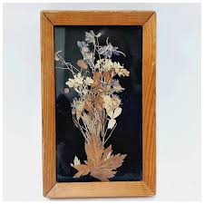 Vintage natural dried flowers, herbarium picture under glass in wood . For Sale at Ruby Lane