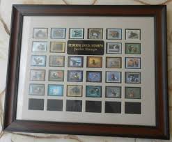 JDS1 - JDS28 - Complete Framed Junior Duck Stamp Set. MNH ...