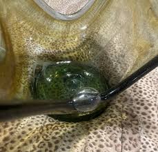 Vintage Large Murano Sommerso Style MCM Art Glass ...