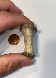 Garden Find : r/fossilid