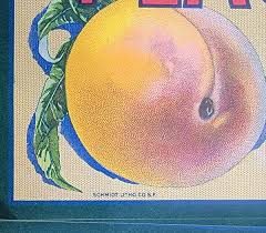 Vintage EARL FRUIT Crate Label PLACERVILLE El Dorado Cty CALIFORNIA Lot of 100 | eBay