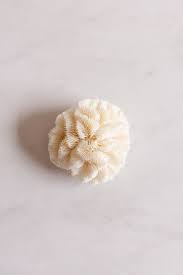 antique french brain coral – Joliette