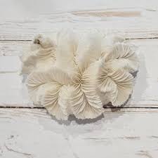 Dried Banana Coral - Etsy