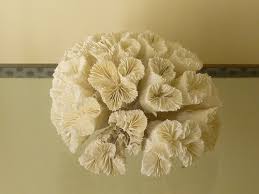 How can I tell if my LPS is dead?