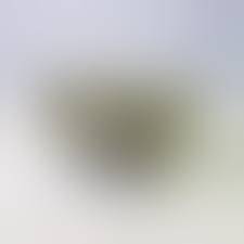 Vintage GAF View-master Viewer With 3D Slide Reels ...