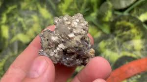 Pyriamazing Chalcopyrite E Sphalerite Deveti Septemvri Mine ...