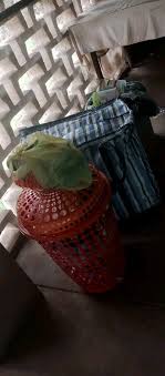 This Is Bendel - This Is Bendel added a new photo.