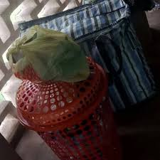 Rev. Sister, Anastasia Shako Kinse Sacked! A Nigerian ...