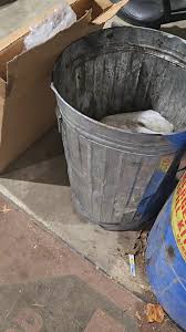 Lil Bro's Journey: A Heartfelt Story of Kindness | TikTok