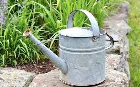 Vintage Galvanized Watering Can 10 Quart Rustic Garden Decor - Etsy