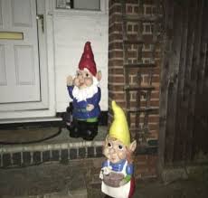 Thomas taunted over gnome thefts