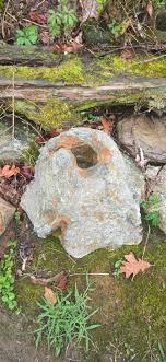 Unidentified rocks in Cohutta, Georgia