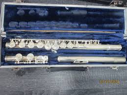 Borg brand Flute with case | Reverb