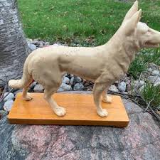 Rare Vintage 1970's Vinyl Dog Acupuncture Model – Anatomical Veterinary Learning Tool Collectible and Display Piece - Etsy