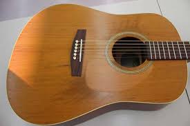 SEAGULL S6+CEDAR Acoustic Guitar | eBay