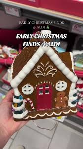 Aldi Garland Christmas | TikTok