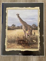 4 Jackie Thompson 8”×10” Safari Prints Of Zebras Giraffes ...