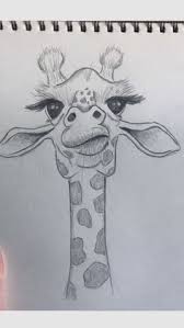 900+ Drawings ideas in 2025 | easy graffiti drawings, alice ...