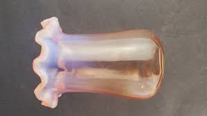 Pink Opalescent Ruffled Rim Vase - Etsy