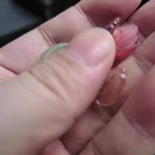 10pcs 19x13mm Lampwork Flora Petal Crystal Glass Loose Top ...