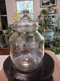 Vintage Glass Jar, Vintage Kitchen Jar, Vintage Glass Canister Jar, Vintage Glass Display, Vintage Glass Terrarium - Etsy