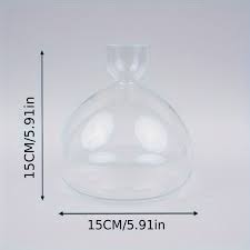 modern clear glass avocado seed propagation vase high - Temu